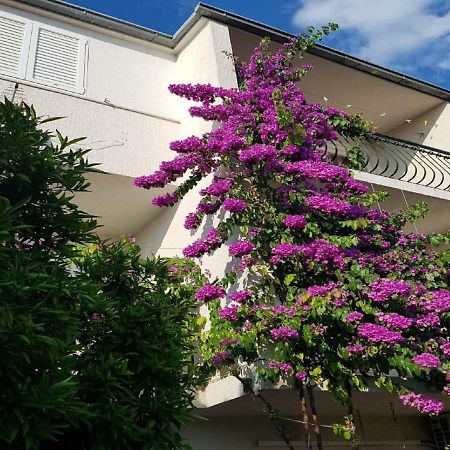 Apartmani Sonja ماكارسكا المظهر الخارجي الصورة